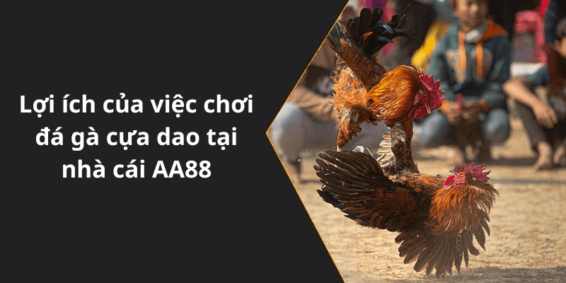 Lợi ích của việc chơi đá gà cựa dao tại nhà cái AA88