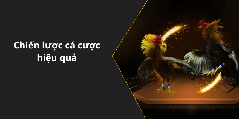Chiến lược cá cược hiệu quả