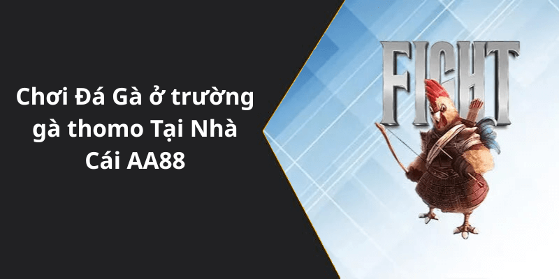 Chơi Đá Gà ở trường gà thomo Tại Nhà Cái AA88