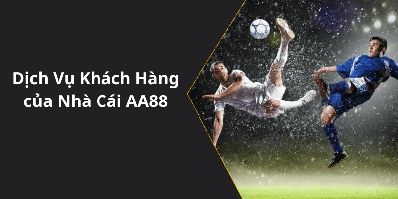Dịch Vụ Khách Hàng của Nhà Cái AA88