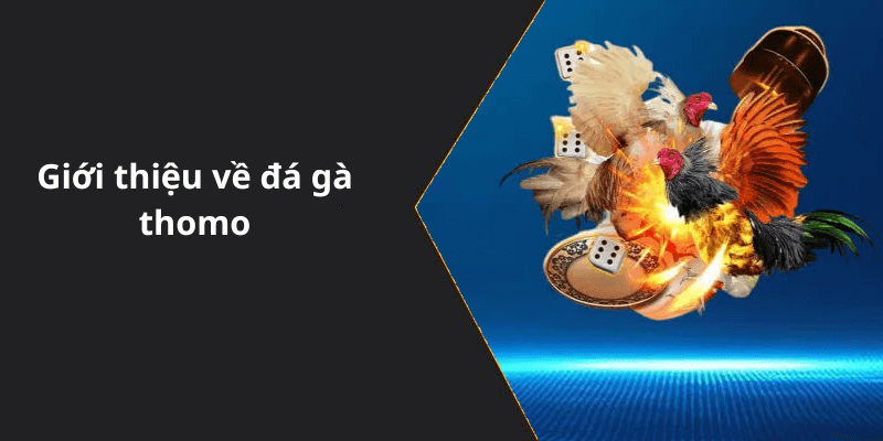 Giới thiệu về đá gà thomo