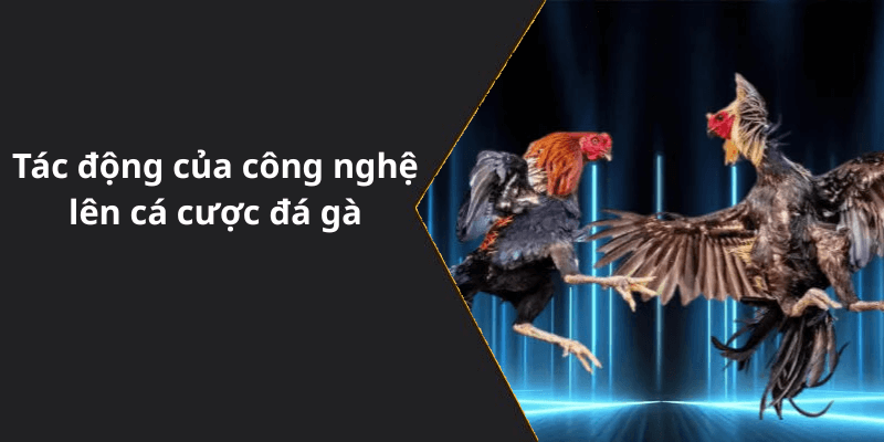Tác động của công nghệ lên cá cược đá gà