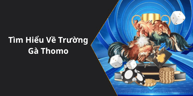 Tìm Hiểu Về Trường Gà Thomo