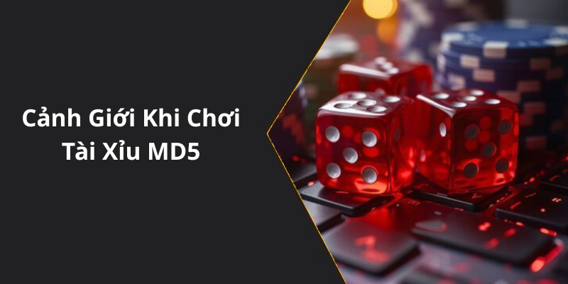 Cảnh Giới Khi Chơi Tài Xỉu MD5