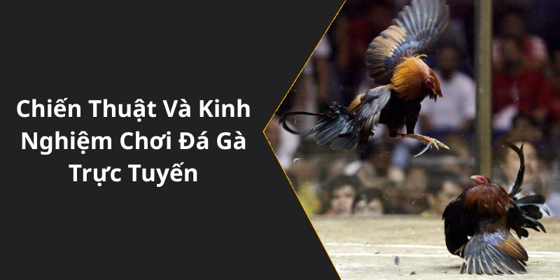 Chiến thuật và kinh nghiệm chơi đá trực tuyến