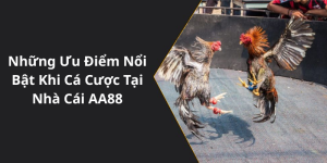 Những Ưu Điểm Nổi Bật Khi Cá Cược Tại Nhà Cái AA88