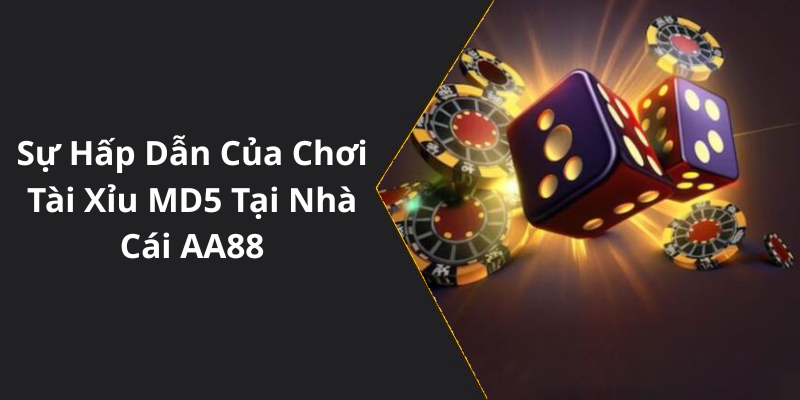 Sự Hấp Dẫn Của Chơi Tài Xỉu MD5 Tại Nhà Cái AA88