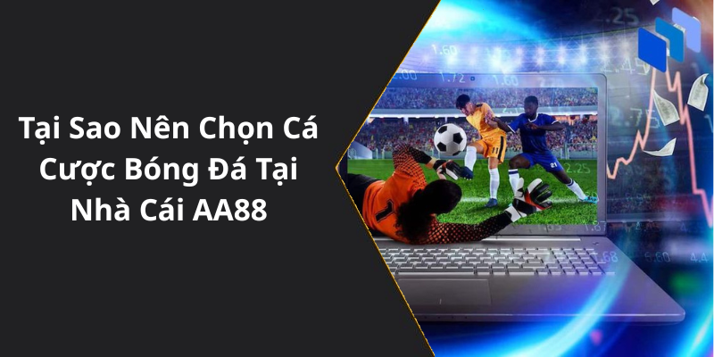 Tại Sao Nên Chọn Cá Cược Bóng Đá Tại Nhà Cái AA88