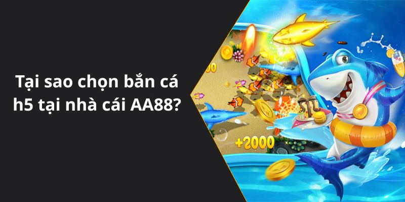 Tại sao chọn bắn cá h5 tại nhà cái AA88