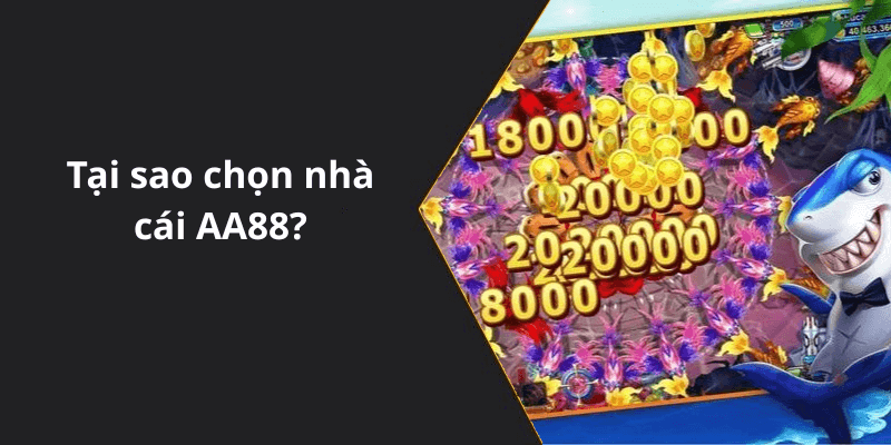 Tại sao chọn nhà cái AA88