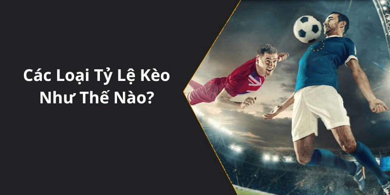Các Loại Tỷ Lệ Kèo Như Thế Nào