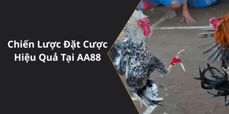 Chiến Lược Đặt Cược Hiệu Quả Tại AA88
